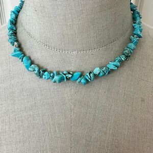 Dyed Howlite Chip Necklace